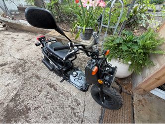 Honda Ruckus