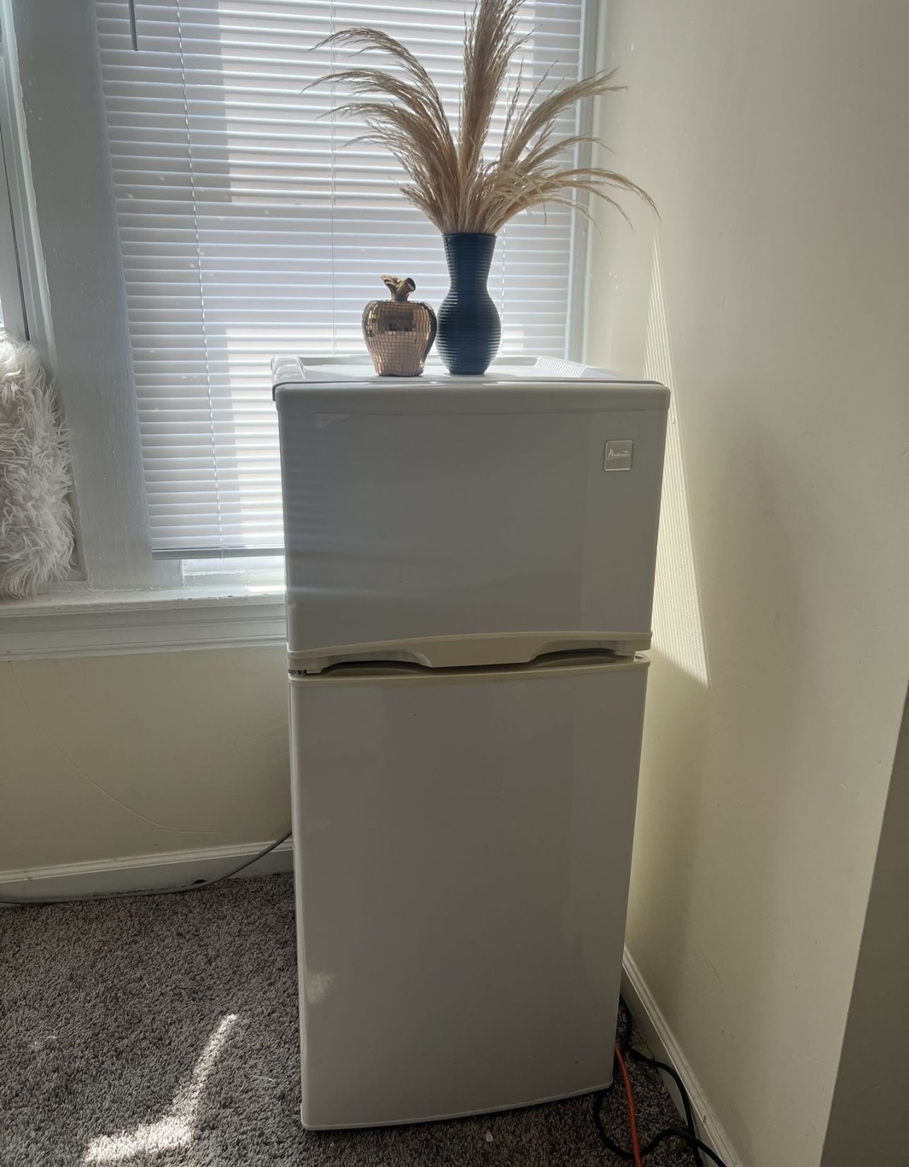 24-inch-small-refrigerator-pick-up-only-for-sale-in-philadelphia-pa