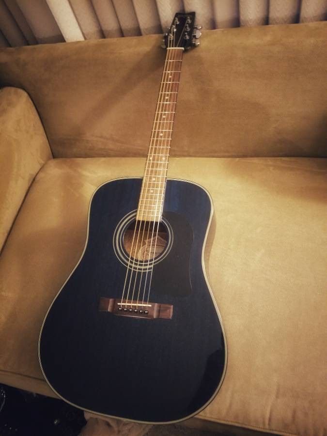 Beautiful Blue Washburn D10 Handcrafted Acoustic Guitar