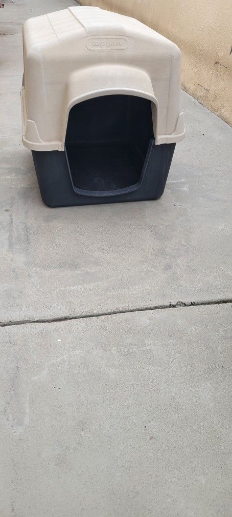 Dog House