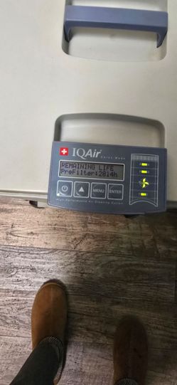 Iqair gc multigas air purifier