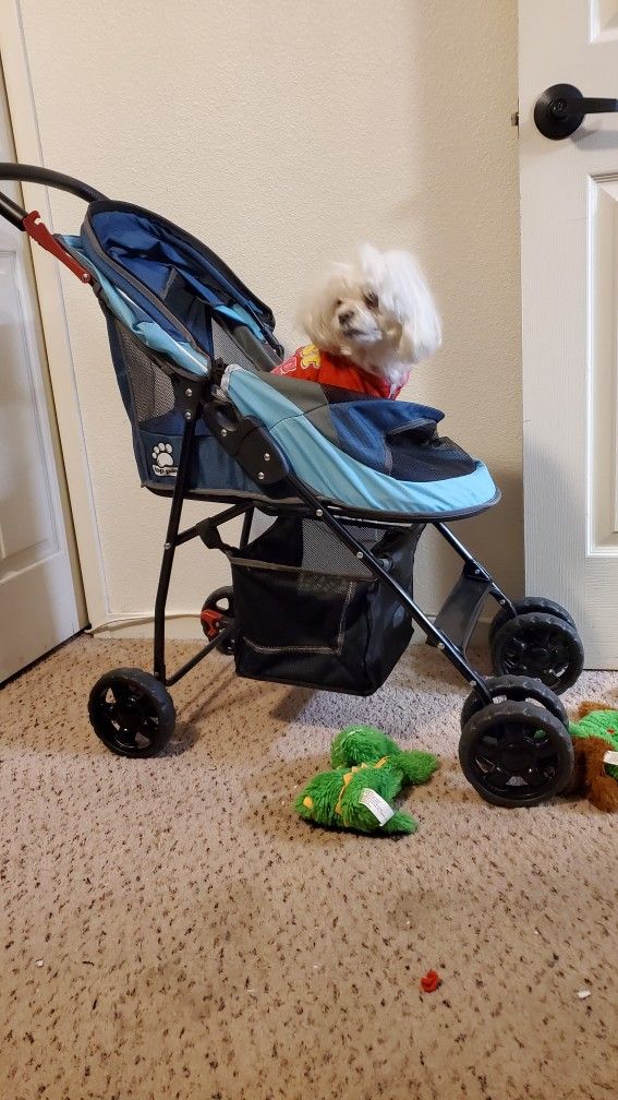 Dog And Cat Stroller Top Paw Dog Stroller Pet Smart