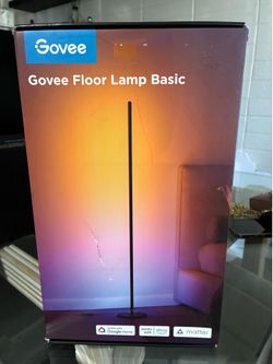 Govee Floor Lamp