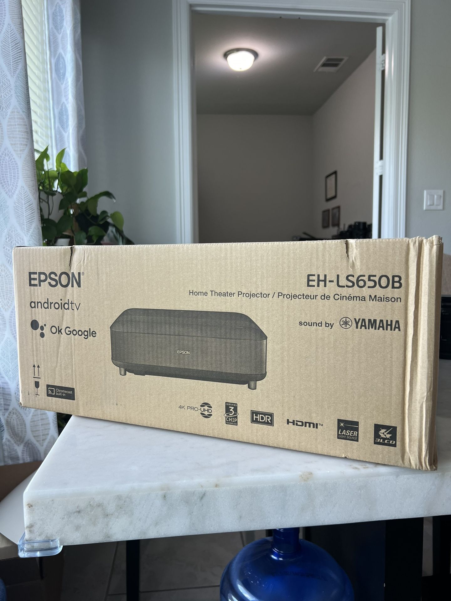 Epson LS650 Home Theater Projector