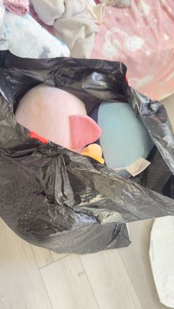 Bag If Squishmallows