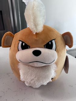 Pokémon