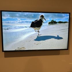 Samsung 48" LED 1080p Smart HDTV