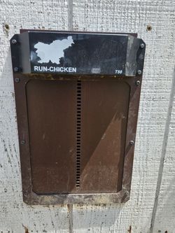Run chicken T50