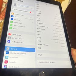 iPad Air 2 Working Great.  But Camera Not Working.  