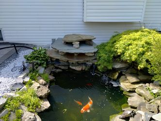 Pond Maintenance & Pond Builds