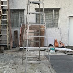 12 Feet Ladder 
