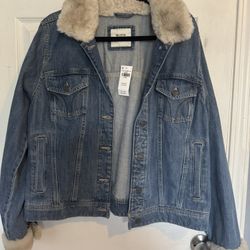 Hollister Jacket 