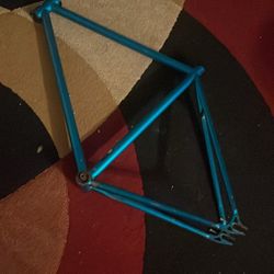 golden cycle fixie frame