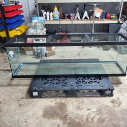 Large Reptile Aquarium 