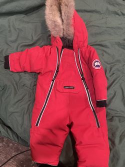 Baby Canada Goose