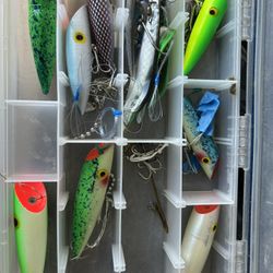 Fishing Lures 