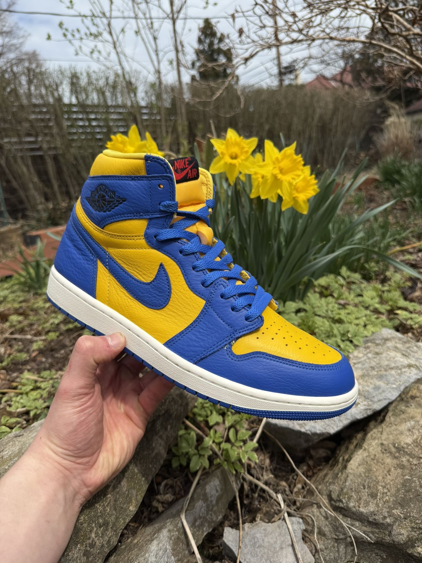 Jordan 1 High OG Laney