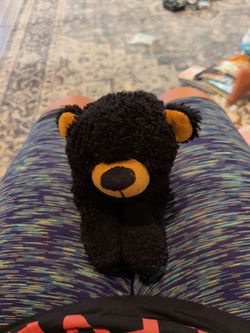 Black Bear Stuffed Animal Plush Toy