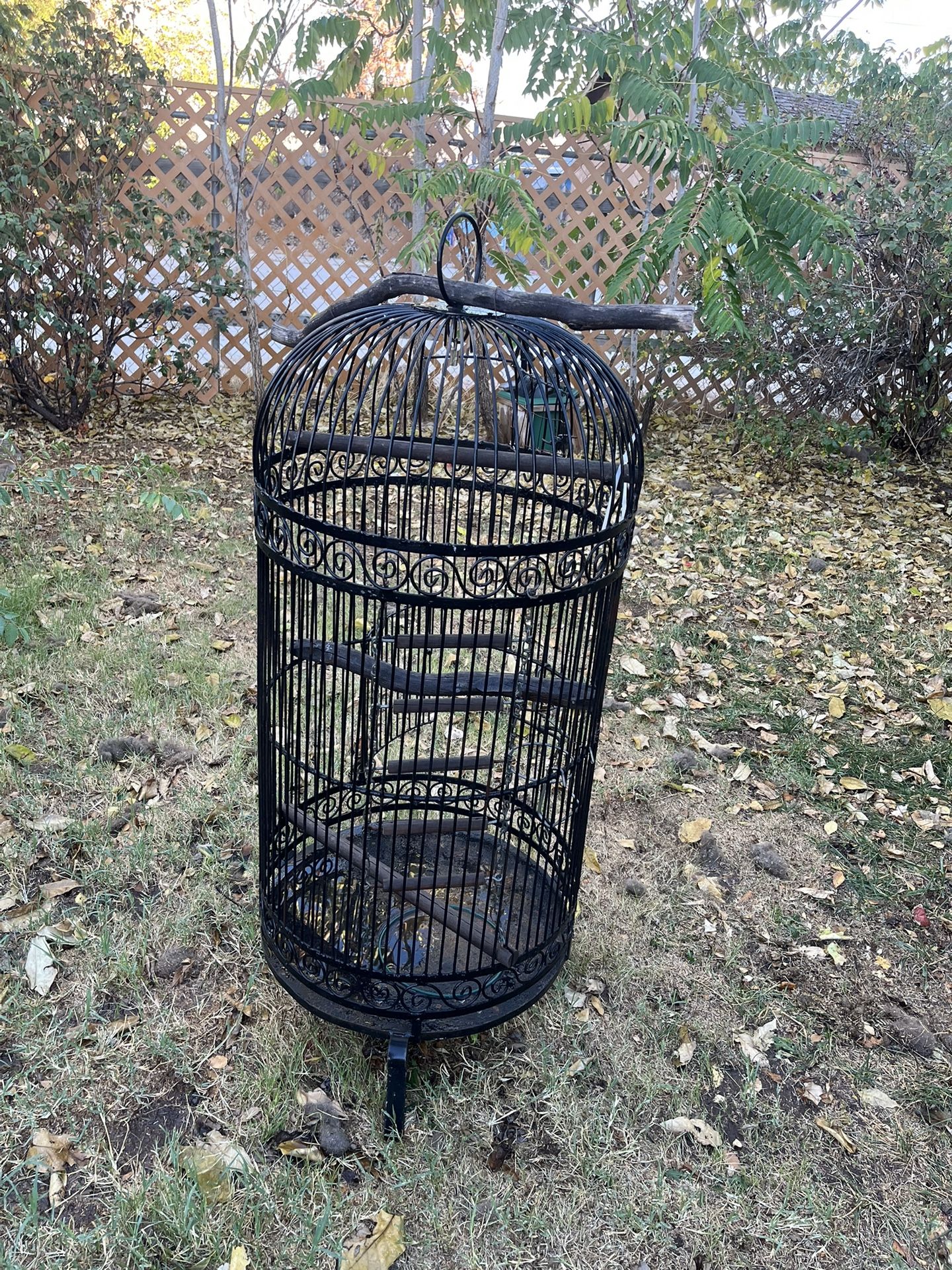 46 In Wrought Iron Bird Cage
