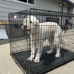 Large Dog House