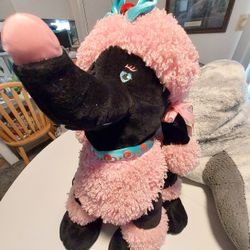 Dan Dee Poodle