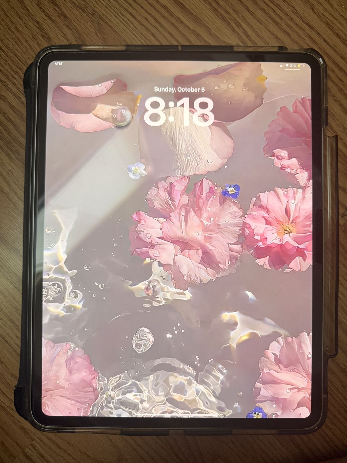 apple ipad 13 in 2024