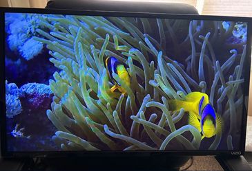 VIZIO 32” Television With Wall mount