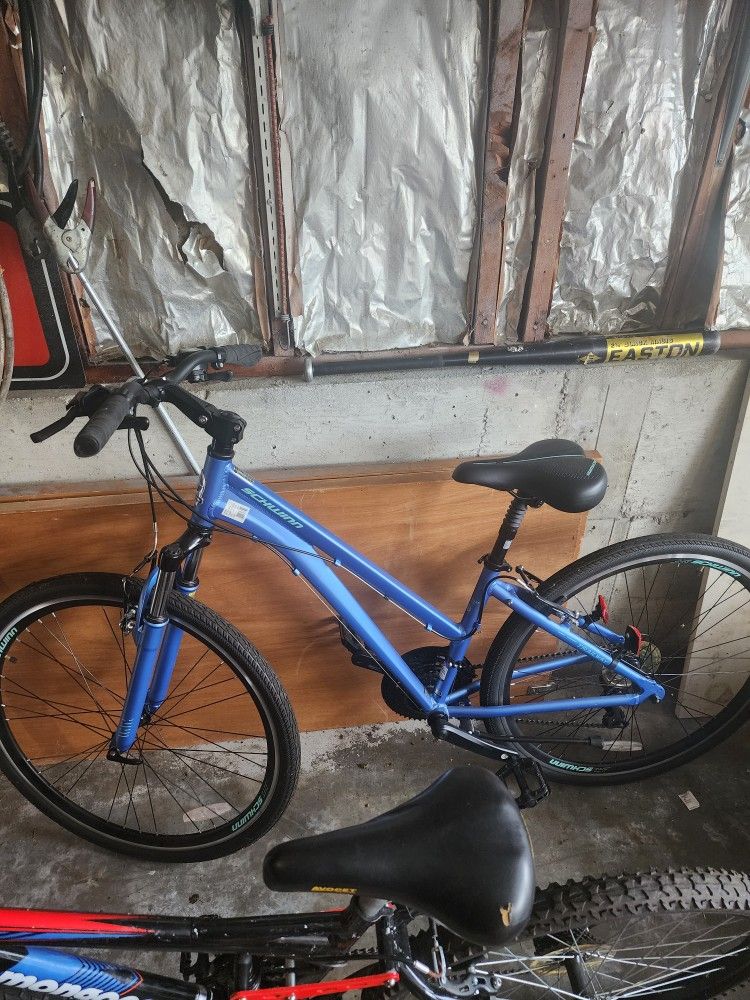 Women's Bike 28"
