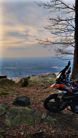 2019 bmw g310gs