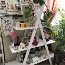 shelves Decor 