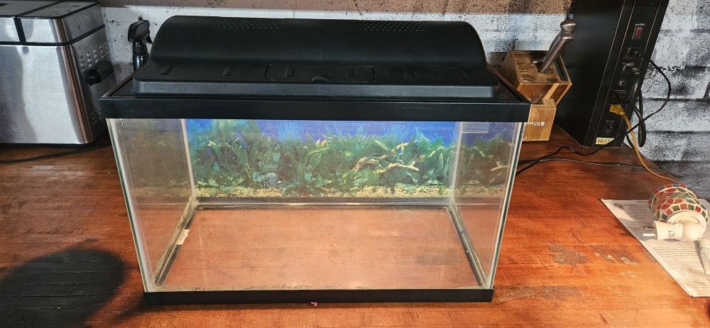 Small Aquarium