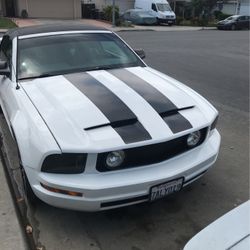 2005 Ford Mustang 