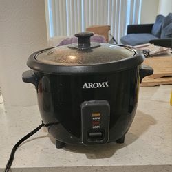 Rice Cooker