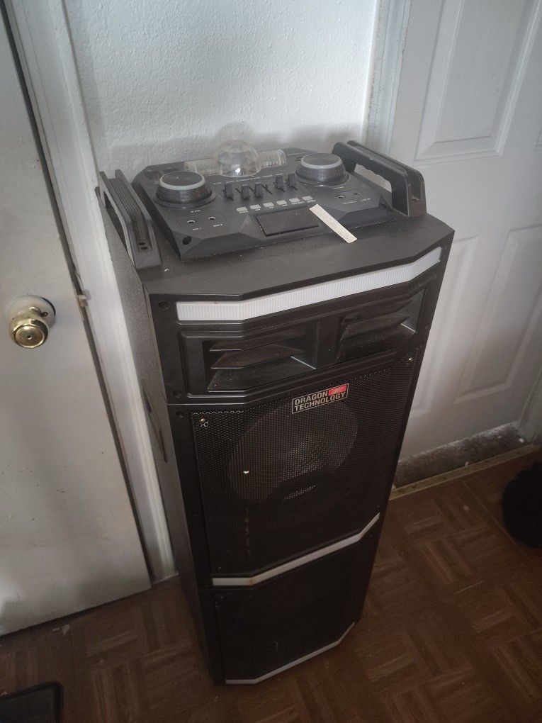 Dragon Technology 2 ,12 Inch Speakers