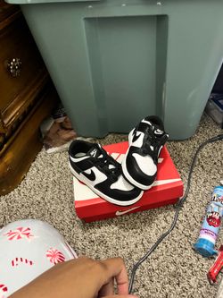 Nike dunk low (tde)