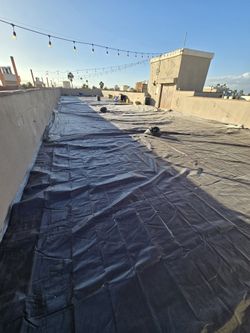 Trappings And Covering For Sale