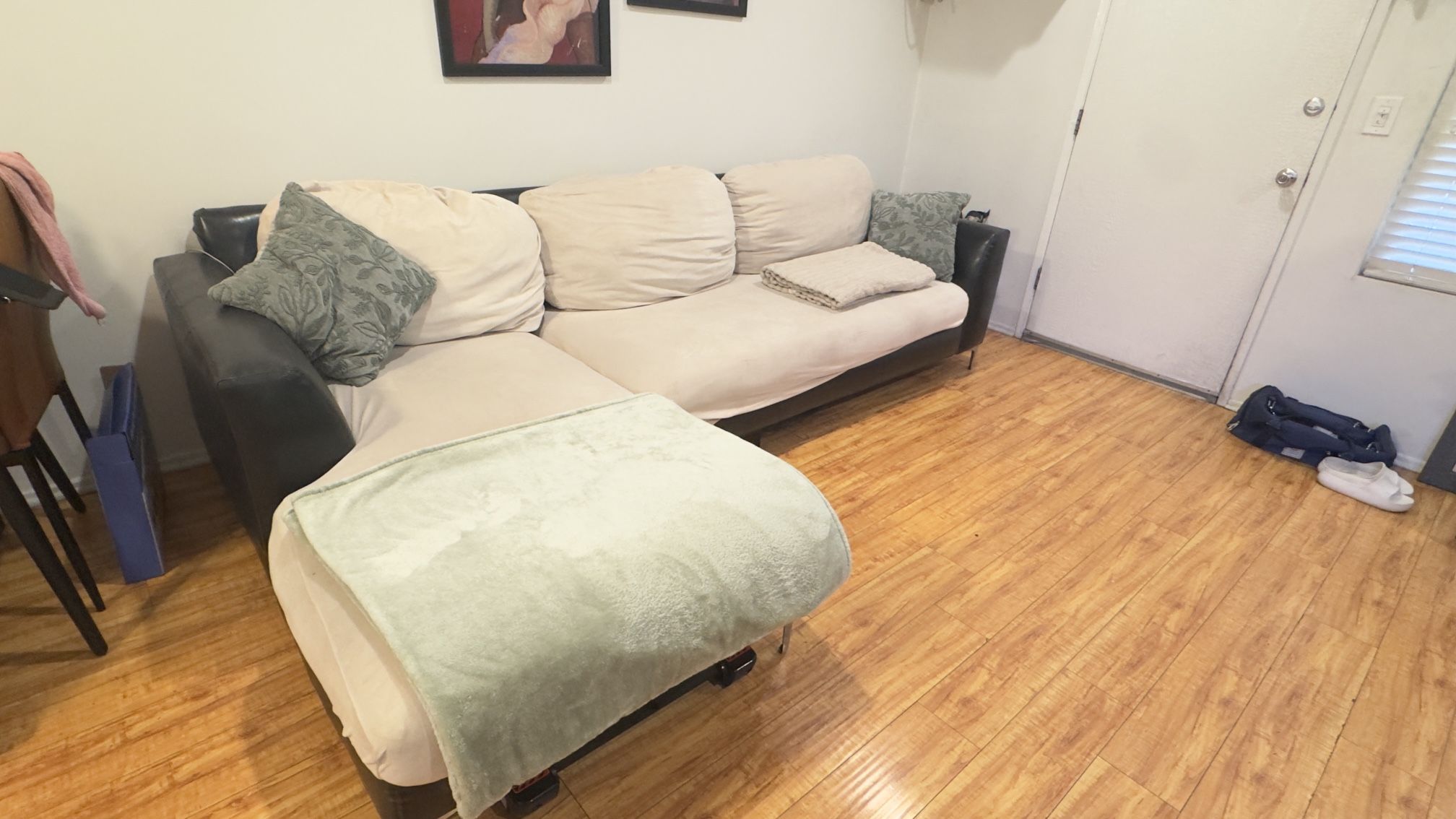 Sectional Couch – Comfy, Large, and a Bit Battle-Scarred
