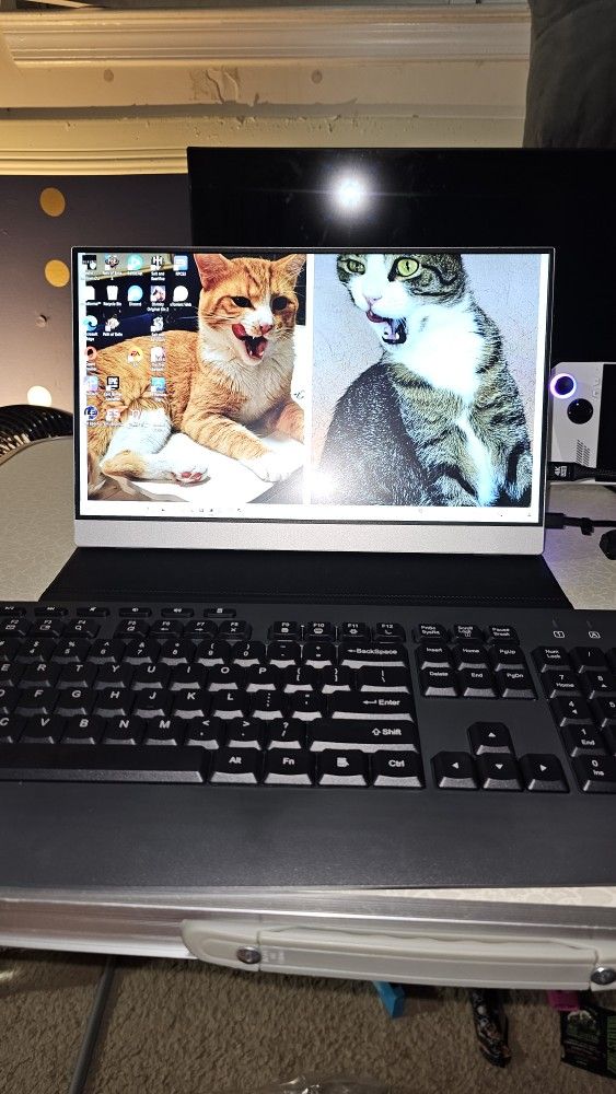 Portable Gaming Monitor 