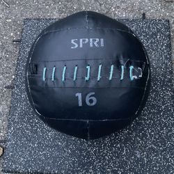 SPRI 16 Lb Wall Ball