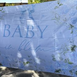 Baby Shower Backdrop