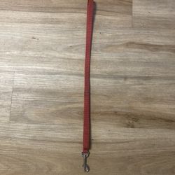 Red Pet Leash 