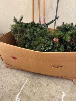 Miracle Tree