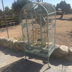 Bird Cage