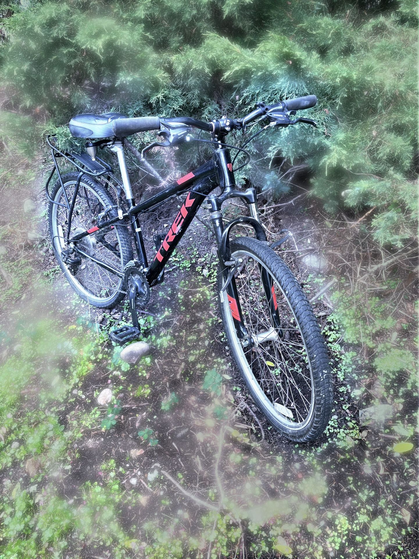 Trek Bike In Good Shape