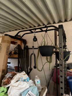 Squat rack and Olympic bar