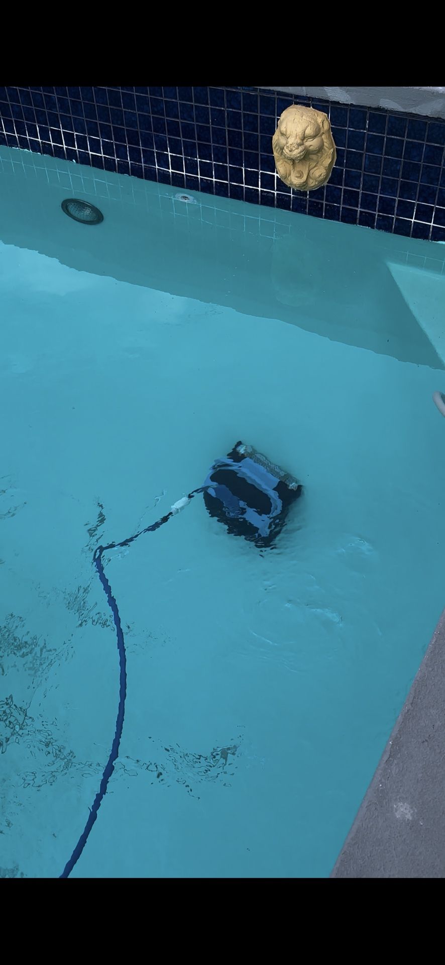 Dolphin Nautilus CC Plus Robotic Pool Vacuum