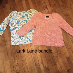 Bundle of Lark Lane Tops. Size Large