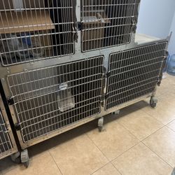 Multiple Dog Kennels + Grooming Table