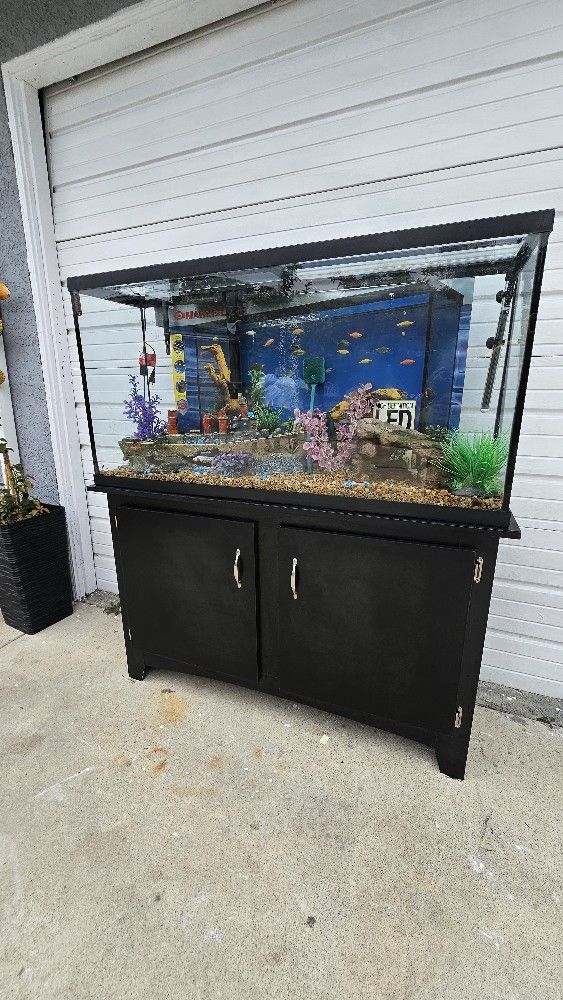 Fish Tank