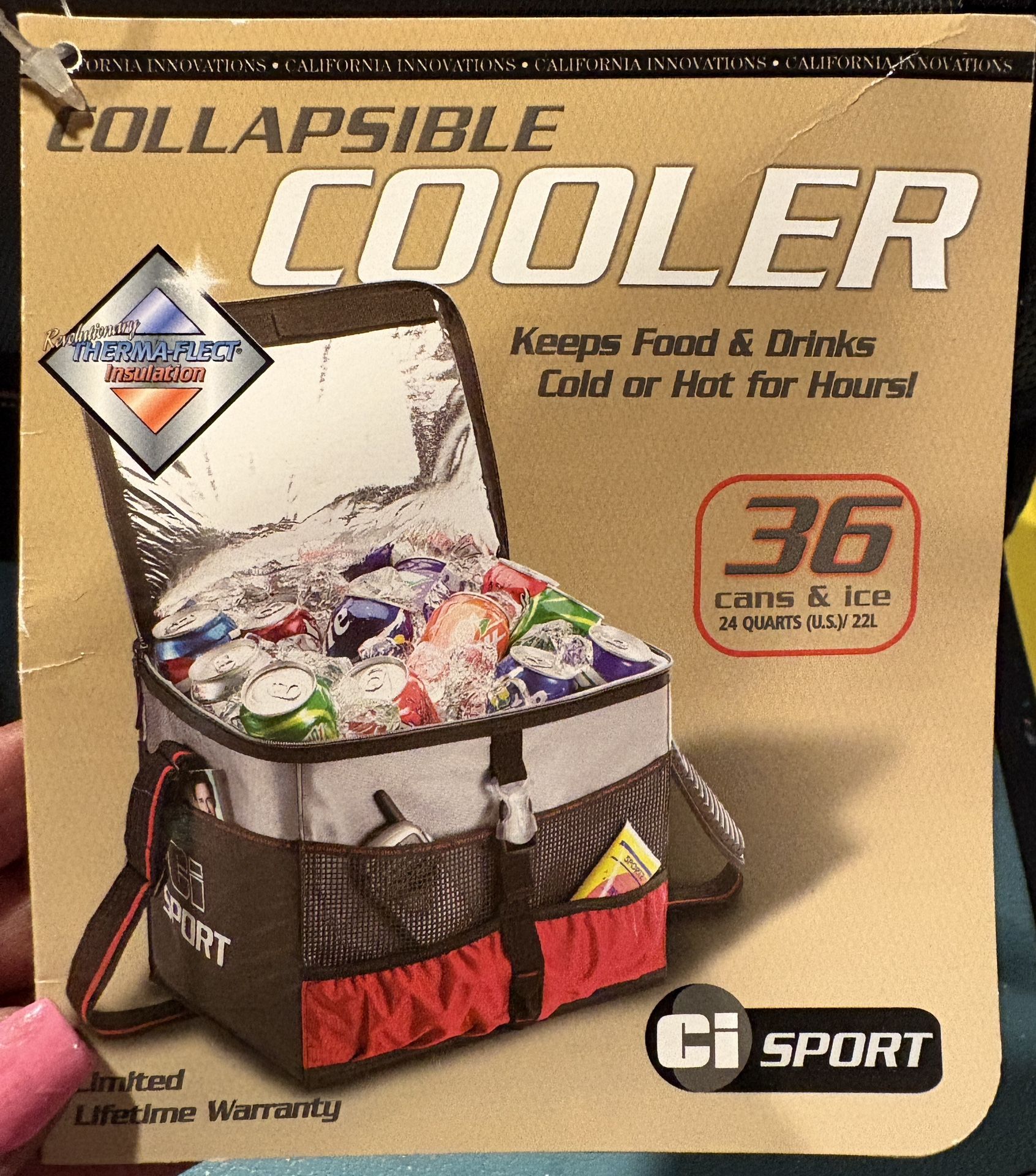 California Innovations Incedible Collapsible Cooler 36 Can Capacity!